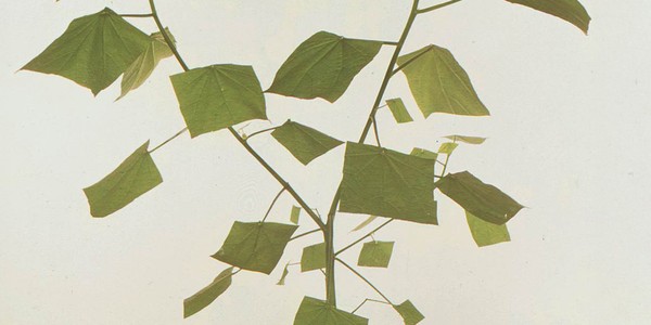 Managing Product Design Teams